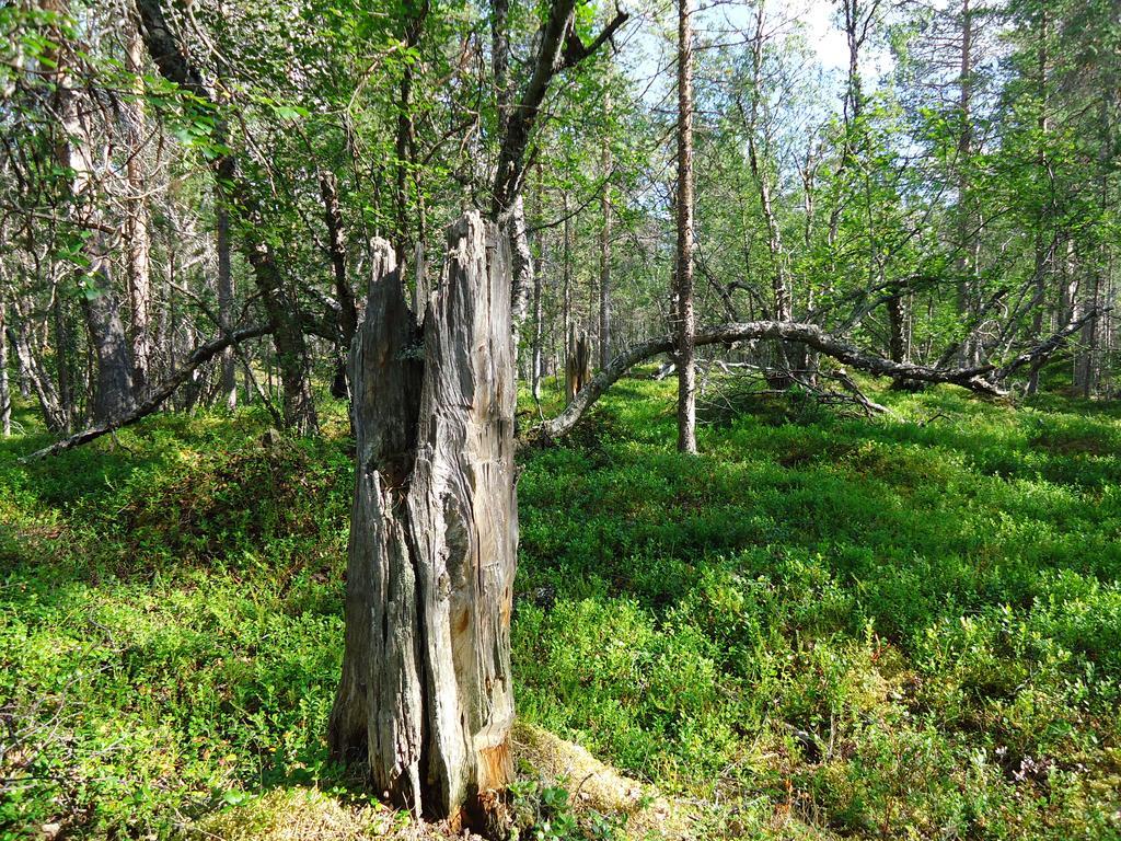Gargia Lodge Alta Buitenkant foto