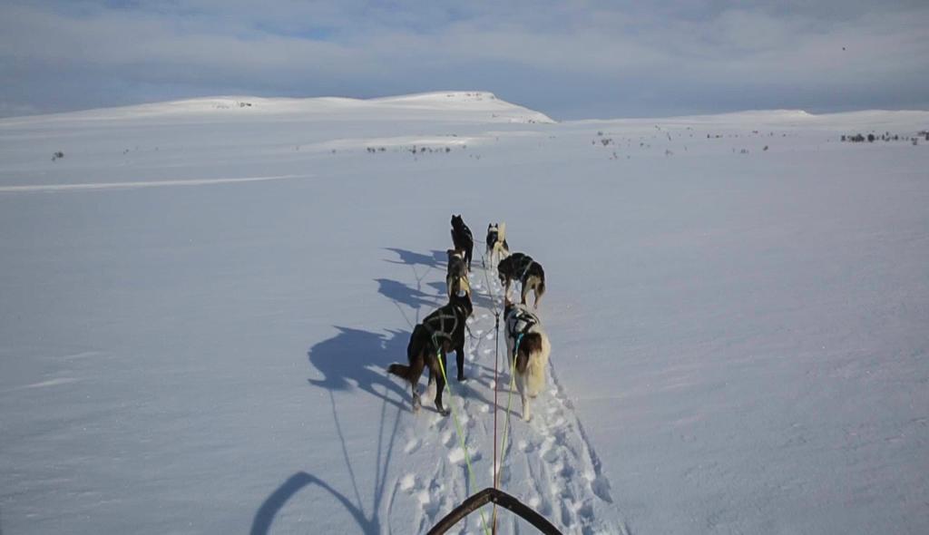Gargia Lodge Alta Buitenkant foto